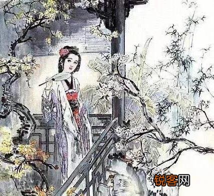 有哪些关于雪的好文章或者诗句呢？历史典故也可以？