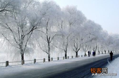 有哪些关于雪的好文章或者诗句呢？历史典故也可以？