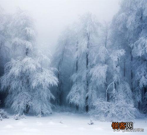 有哪些关于雪的好文章或者诗句呢？历史典故也可以？