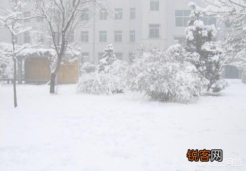 要下雪了,你认为描写雪景最经典的诗句是什么?