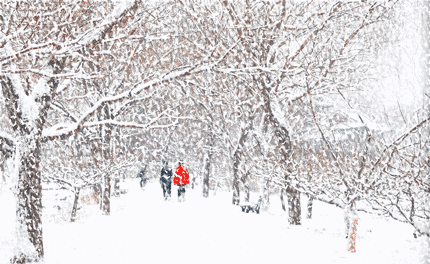 带“雪”字的诗句有哪些？
