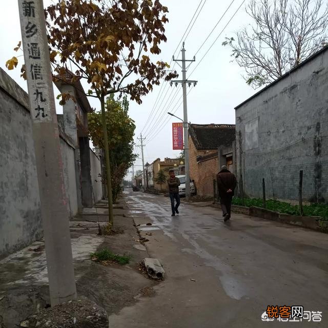农村俗语“一年两个春,带毛的贵如金”,啥意思？为什么这么说？