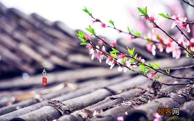 农村俗语“一年两个春,带毛的贵如金”,啥意思？为什么这么说？