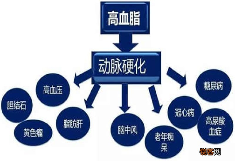 调节血脂最有效的方法有哪些？如何快速降血脂