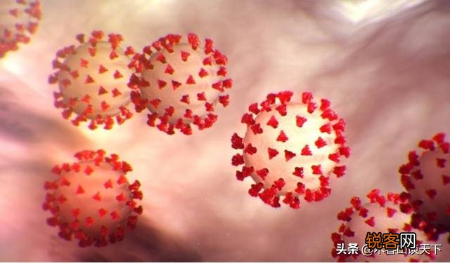 北京低风险区的你会选择出京吗？