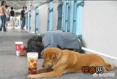有哪些淘宝店你买完就逢人推荐？