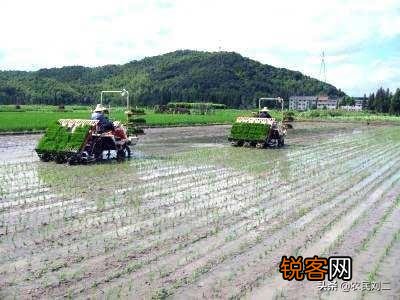 中国南方农业怎么没办法实现机械化,为什么？