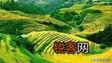 中国南方农业怎么没办法实现机械化,为什么？
