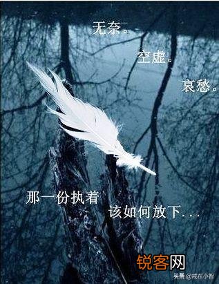 你读过最凄美的爱情诗句是什么？