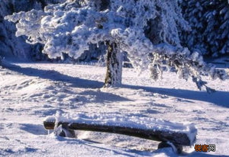 冬季为什么刮北风