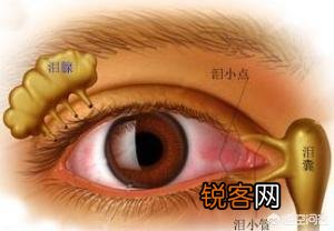 中医“人的鼻涕由大脑渗出”的说法,是否有科学依据?