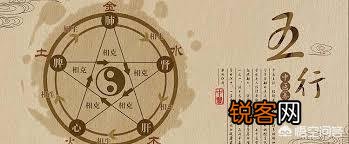 中医“人的鼻涕由大脑渗出”的说法,是否有科学依据?