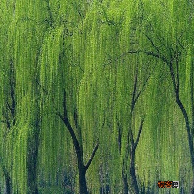 豪放派词人辛弃疾有没有好的婉约风的词？举例说明一下？
