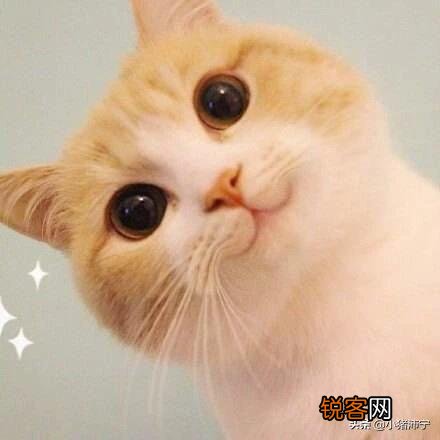 为什么有自己的兴趣爱好如此重要？