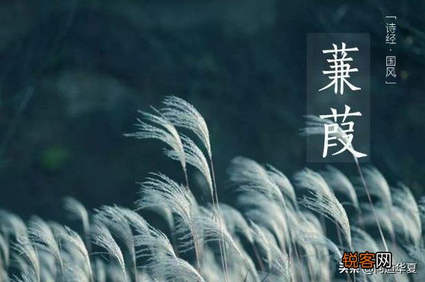 思考了很多哲学问题后开始颓废了,该怎么做才能重新热爱生活？