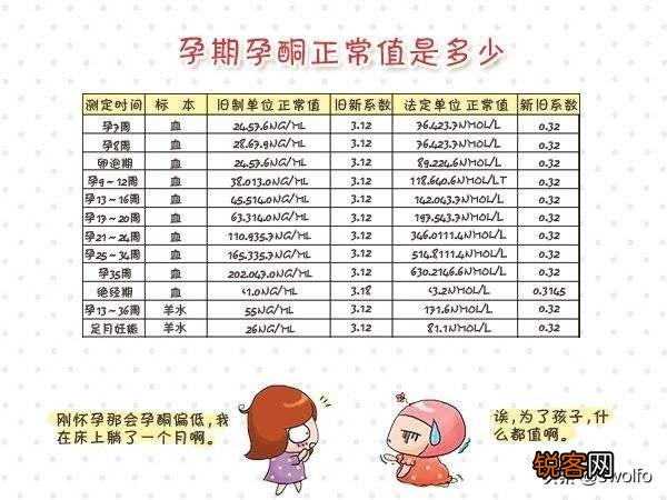 有没有谁来科普一下HCG和孕酮？