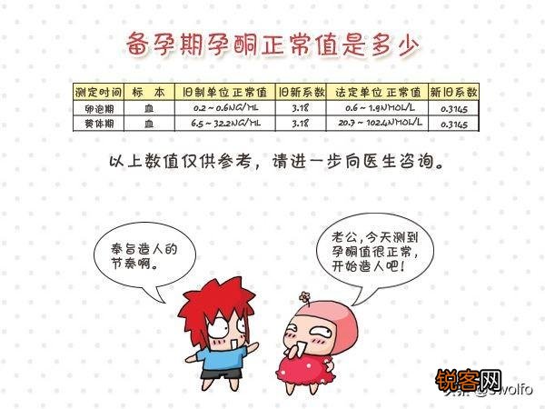 有没有谁来科普一下HCG和孕酮？