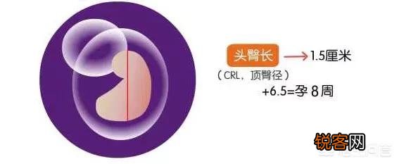 大排畸以后,为什么还要再做至少2次B超?真的重要吗?