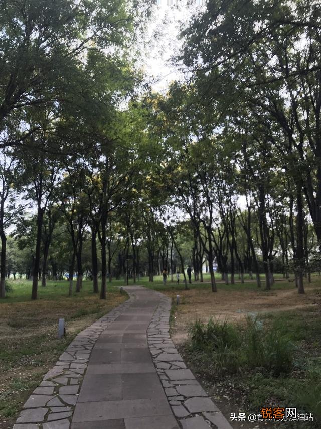 2岁小孩上早教中心天天哭,怎么办？