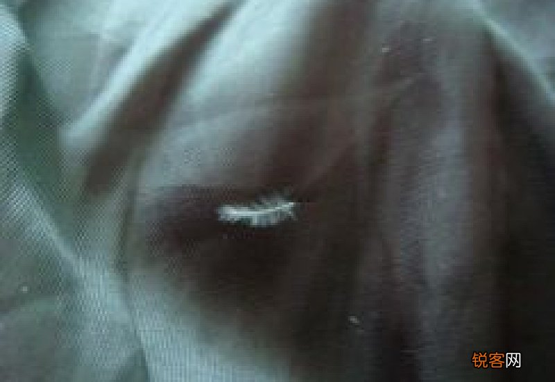 羽绒服是手洗还是洗衣机洗好 羽绒服是手洗好还是洗衣机洗好