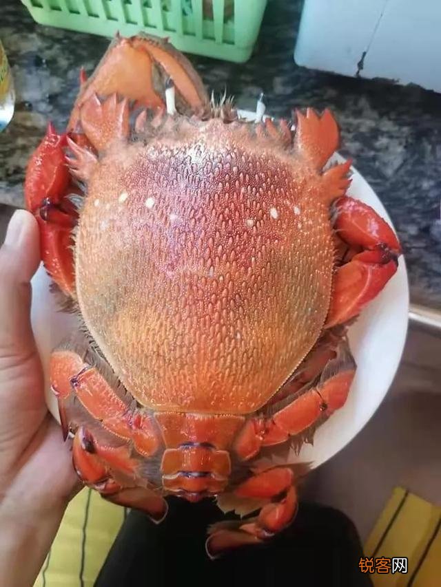 工作之余,有什么兼职可以做呢?