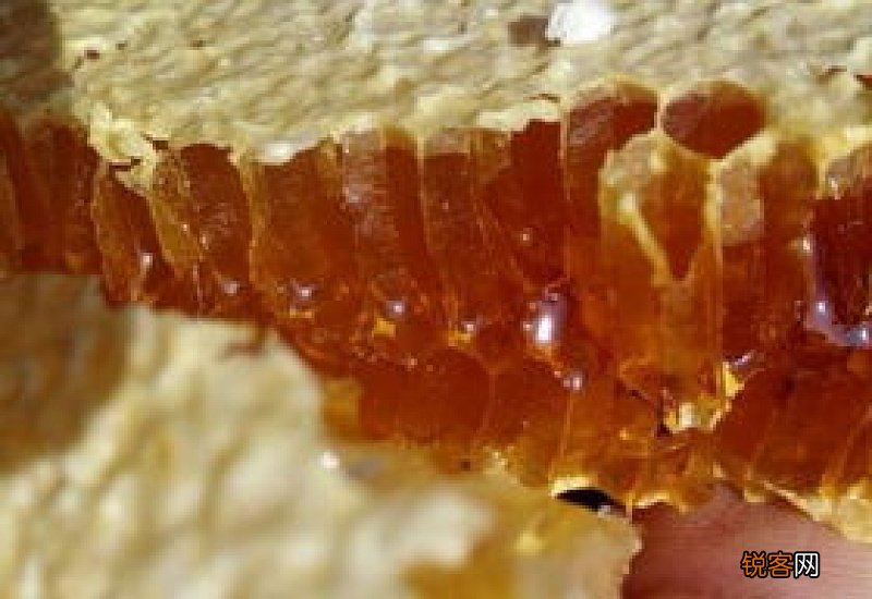 土蜂蜜后味发苦正常吗