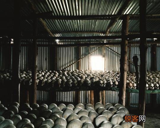 什么是黑色旅游？