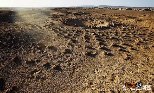 历史上真的有楼兰古国吗？为什么会消失呢？