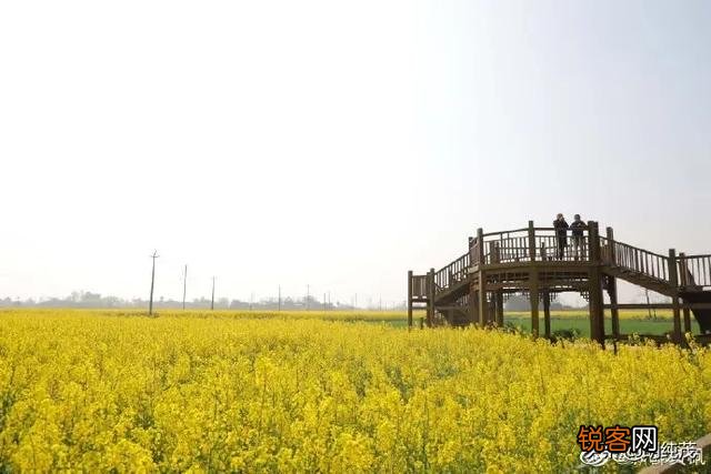 古人是无法了解外面的世界,今人用自媒体了解世界,我们幸运吗？为什么？