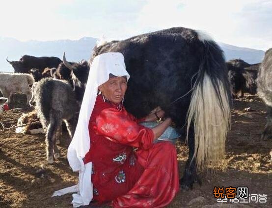 阿富汗的“瓦罕走廊”有什么战略价值吗？