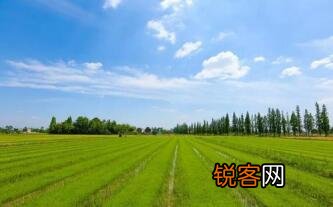 玄奘是去西天取经第一人吗？