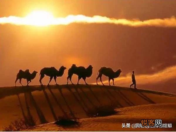 古代丝绸之路上会出现很多抢劫的事吗？