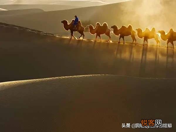 古代丝绸之路上会出现很多抢劫的事吗？