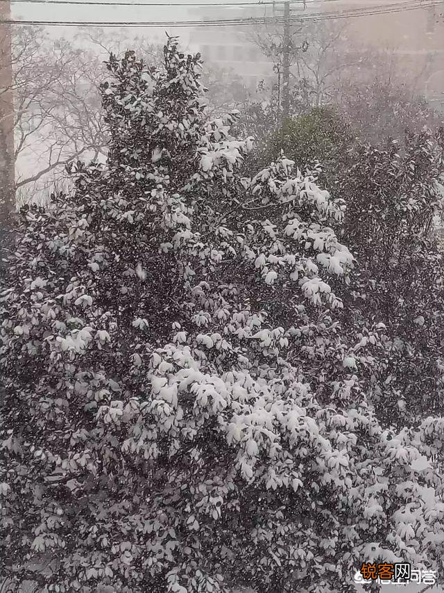 你认为最美的写雪的诗词是什么？
