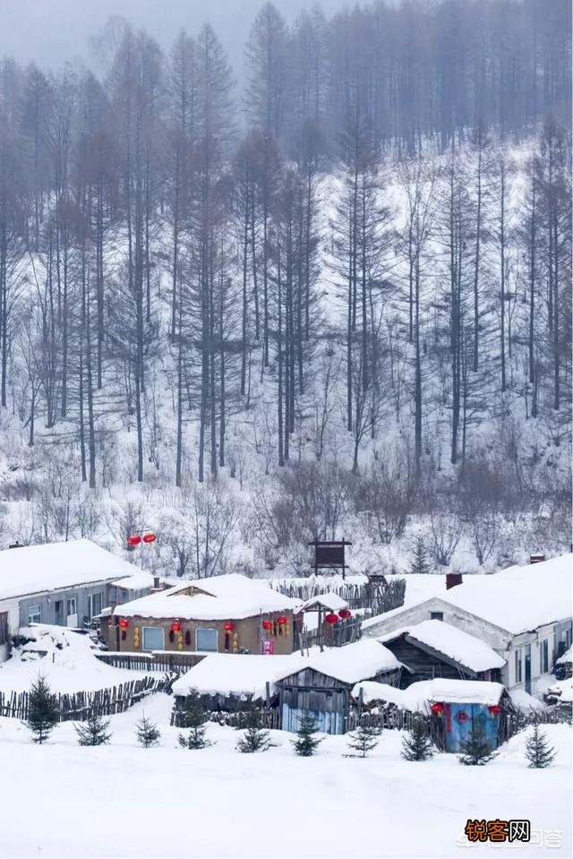 你认为最美的写雪的诗词是什么？