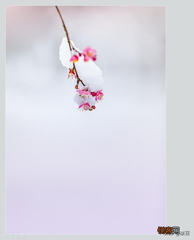 你最喜欢的关于雪的诗句是哪一句？