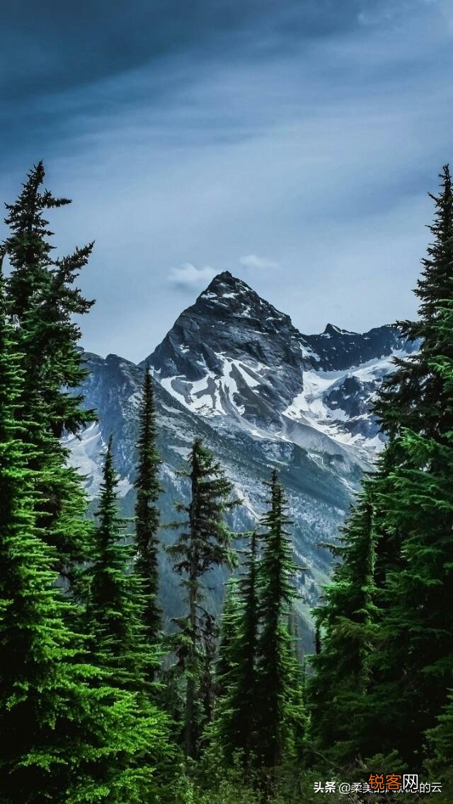 你最喜欢的关于雪的诗句是哪一句？