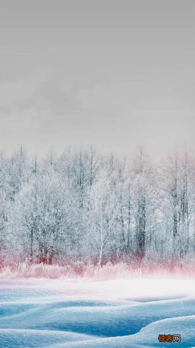你最喜欢的关于雪的诗句是哪一句？