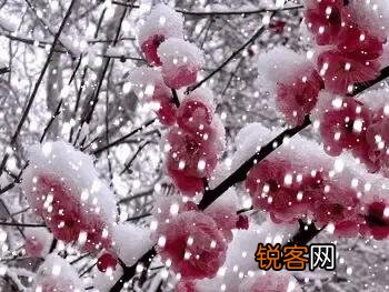 你最喜欢的关于雪的诗句是哪一句？