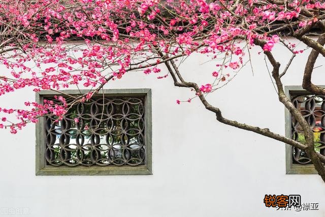 你最喜欢的关于雪的诗句是哪一句？