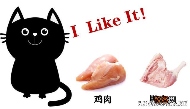 牛肉、鸡肉、鸭肉、羊肉、鱼肉,猫咪更喜欢吃哪个呢？