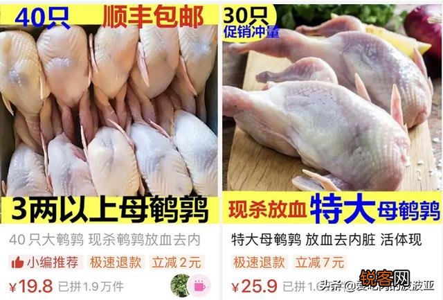 牛肉、鸡肉、鸭肉、羊肉、鱼肉,猫咪更喜欢吃哪个呢？