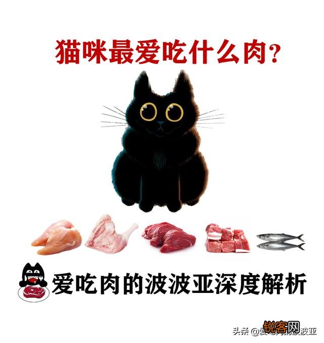 牛肉、鸡肉、鸭肉、羊肉、鱼肉,猫咪更喜欢吃哪个呢？