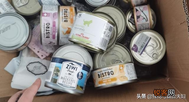 养猫必须吃猫粮吗？吃猫粮和直接吃肉比有哪些好处？