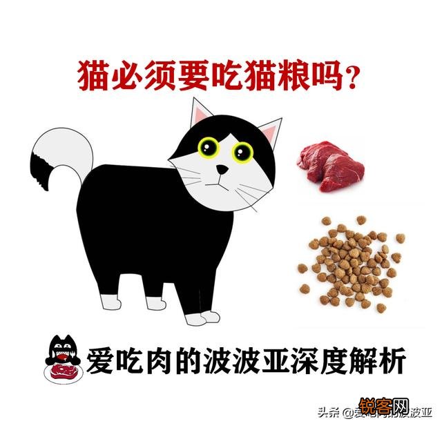 养猫必须吃猫粮吗？吃猫粮和直接吃肉比有哪些好处？
