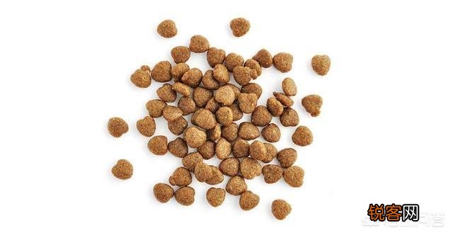 养猫必须吃猫粮吗？吃猫粮和直接吃肉比有哪些好处？