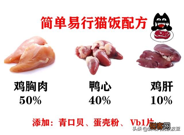 养猫必须吃猫粮吗？吃猫粮和直接吃肉比有哪些好处？