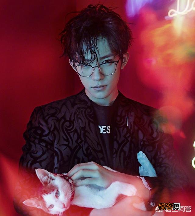 哪位明星的长相很有辨识度？