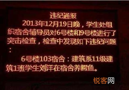 你见过最奇葩的宠物是什么？