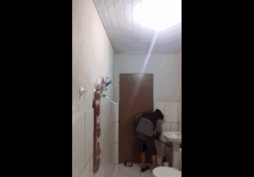 宠物猫会不会抓老鼠呢？